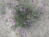Images from Berlin Biennial Sculpture Garden