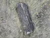 Images from Berlin Biennial Sculpture Garden