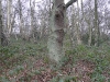 londonpark130.jpg