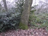 londonpark131.jpg