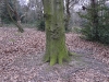 londonpark132.jpg