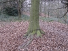 londonpark139.jpg