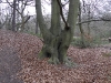 londonpark140.jpg
