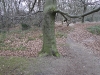 londonpark141.jpg