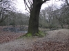 londonpark143.jpg