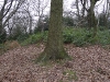 londonpark144.jpg