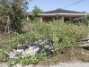 Contemporary Housing Conditions in New Orleans 