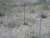 Public Art at Sculpture Garden