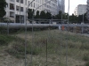 Public Art at Sculpture Garden