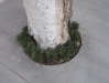 trees in Bebek, Istabul