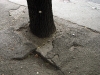 pavement skopje