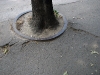 pavement skopje