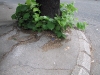 pavement skopje