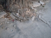 pavement skopje