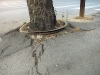 pavement skopje