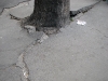 pavement skopje