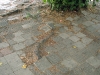 pavement skopje