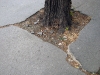 pavement skopje